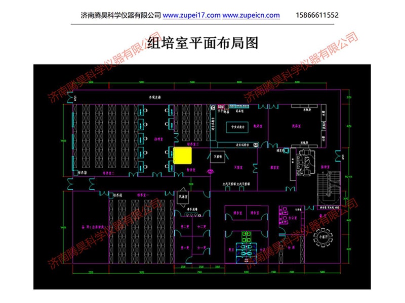 深夜网站在线观看室
