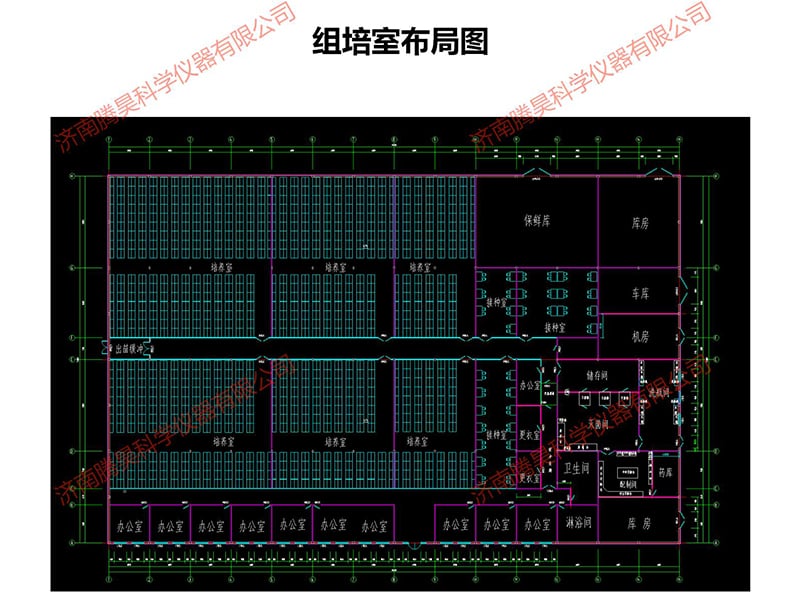 深夜网站在线观看室
