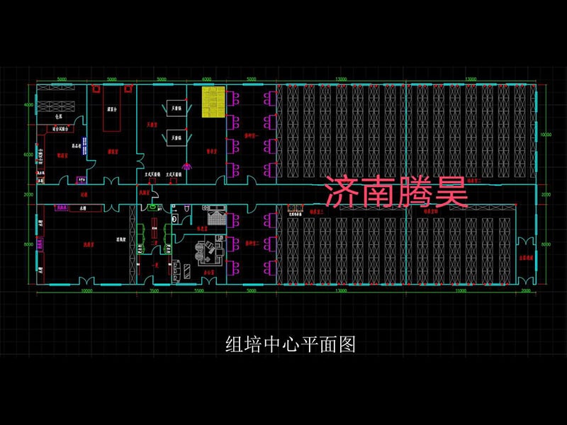 深夜网站在线观看  深夜网站在线观看室