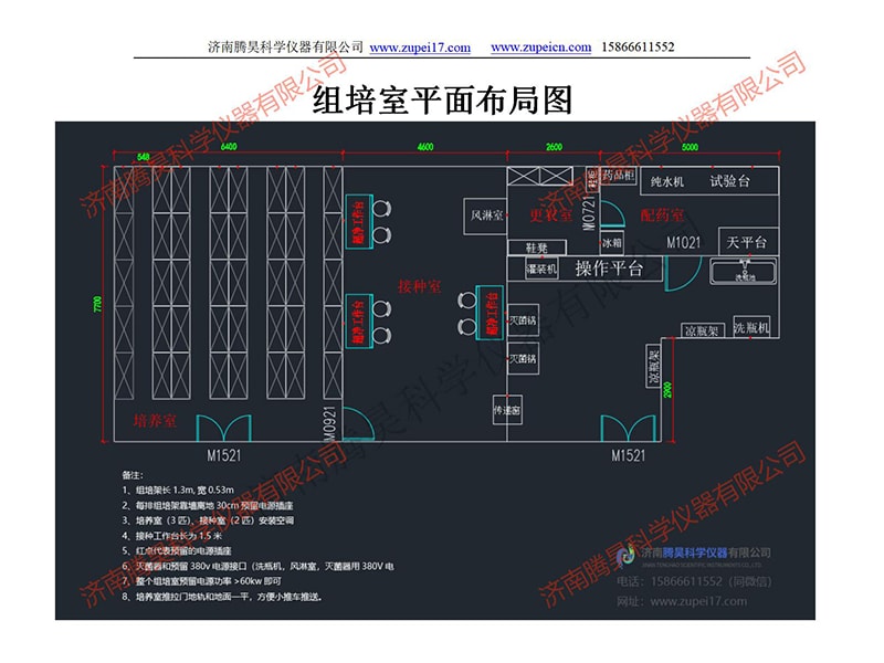深夜网站在线观看室