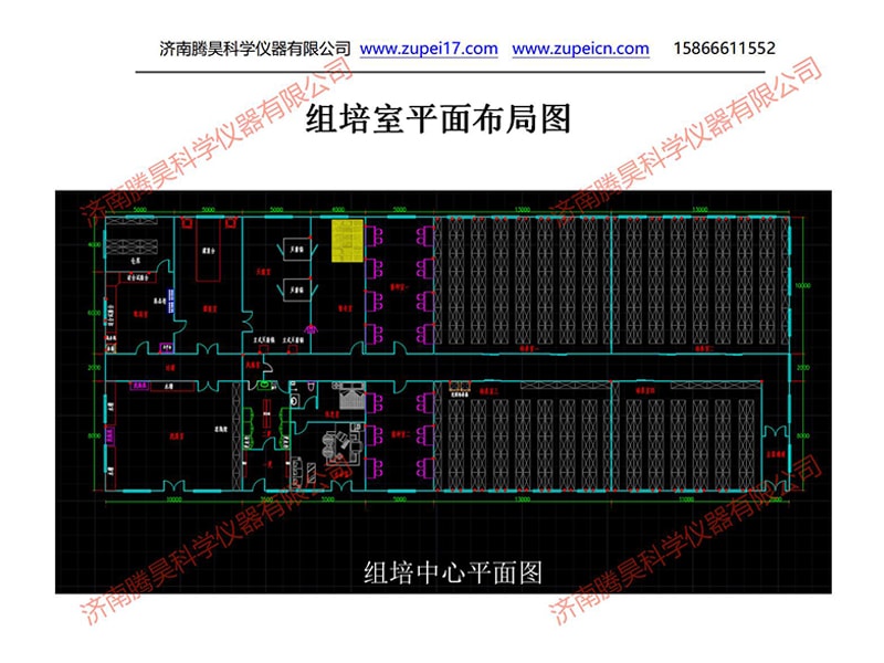 深夜网站在线观看  深夜网站在线观看室