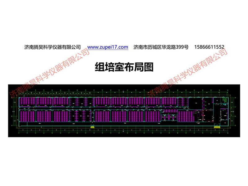 深夜网站在线观看室