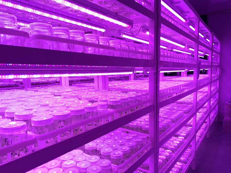 插扣式深夜网站在线观看架