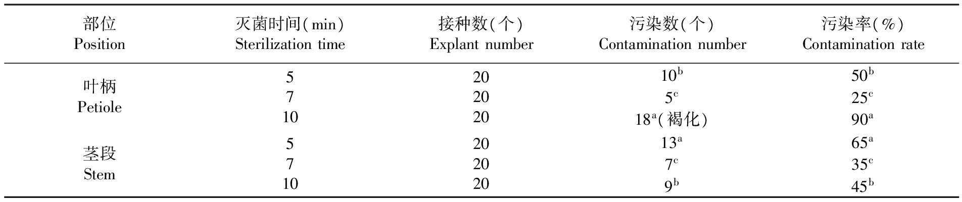 植物深夜网站在线观看設備